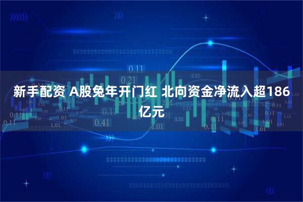 新手配资 A股兔年开门红 北向资金净流入超186亿元