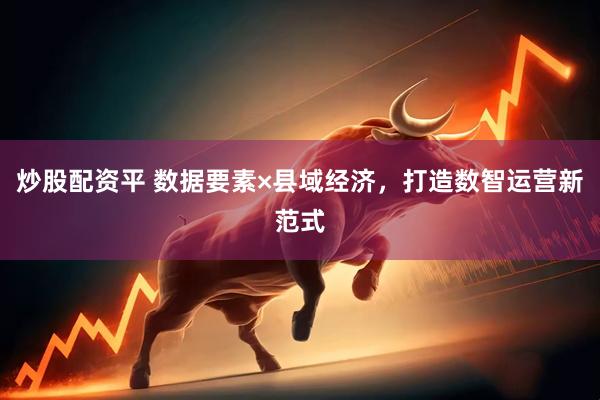 炒股配资平 数据要素×县域经济，打造数智运营新范式